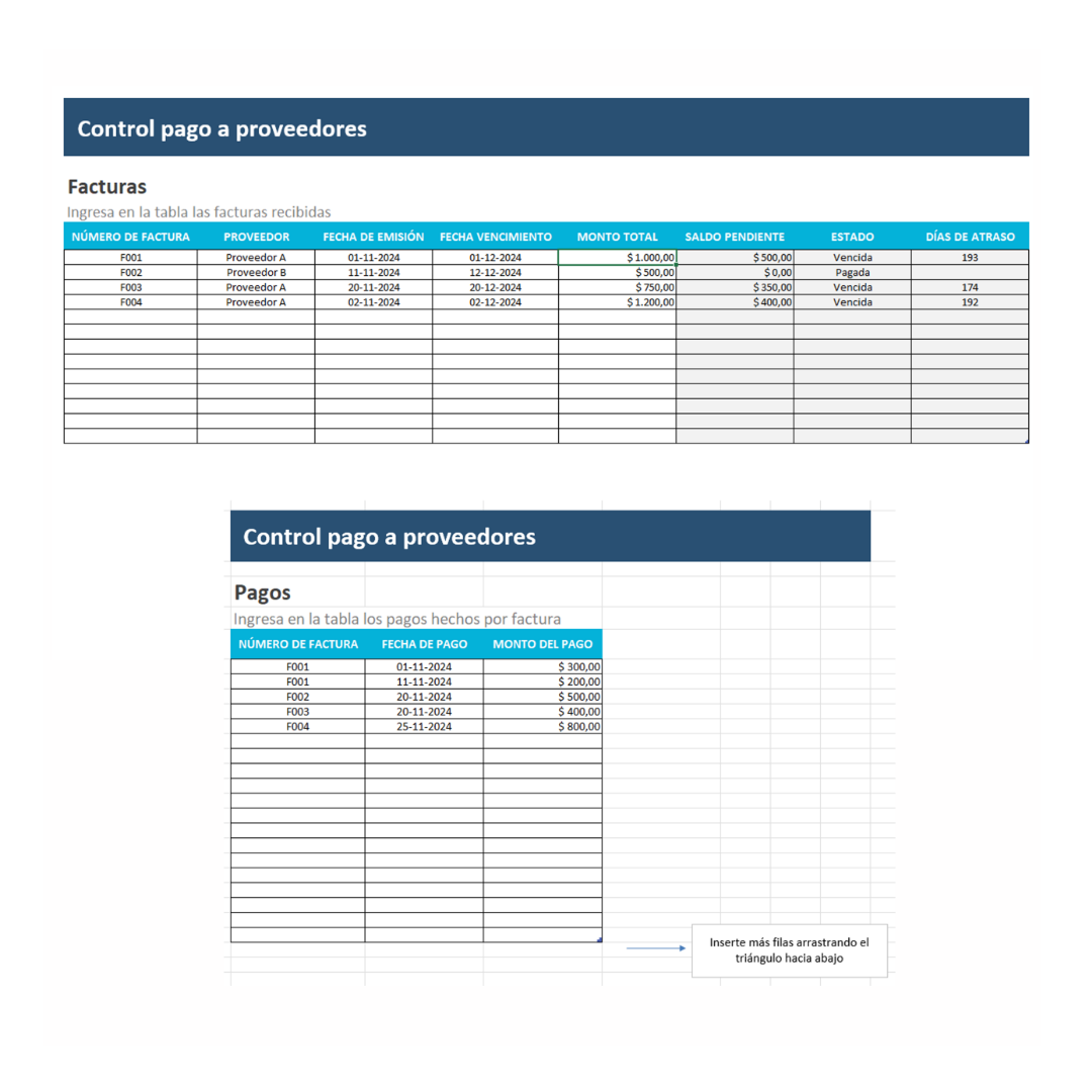 Control de pago a proveedores