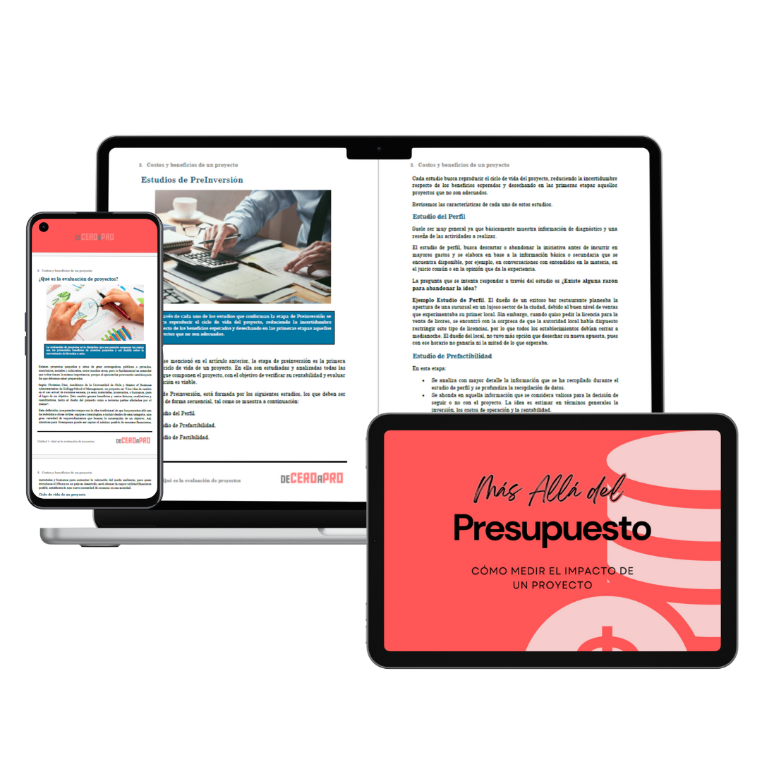 Ebook "Más allá del Presupuesto"