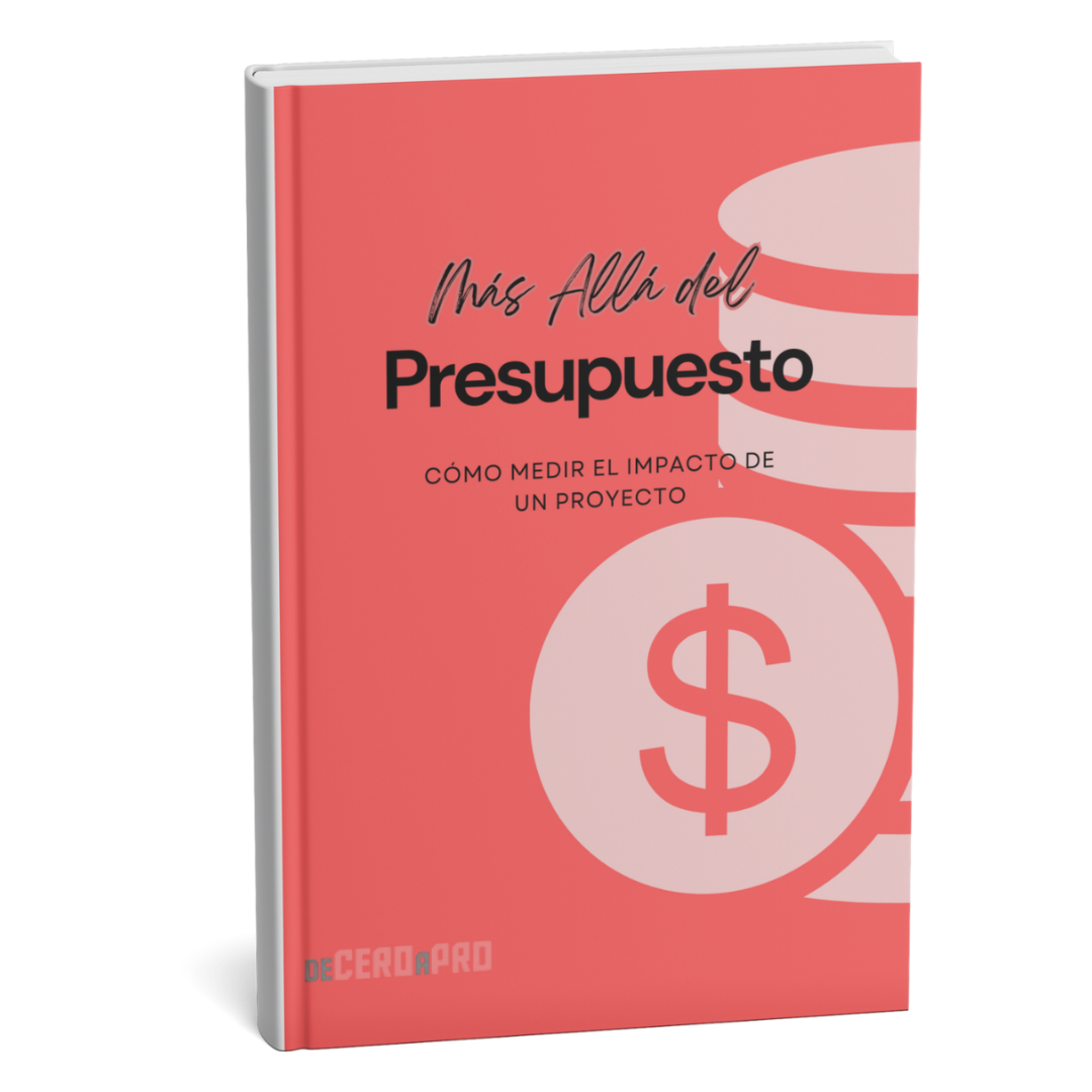 Ebook "Más allá del Presupuesto"